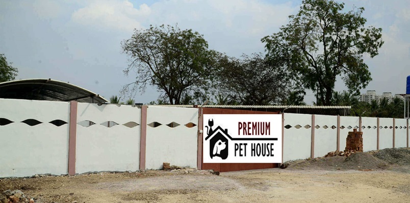 Why Are Premium Pet House Puppies A Great Choice For Your Family?